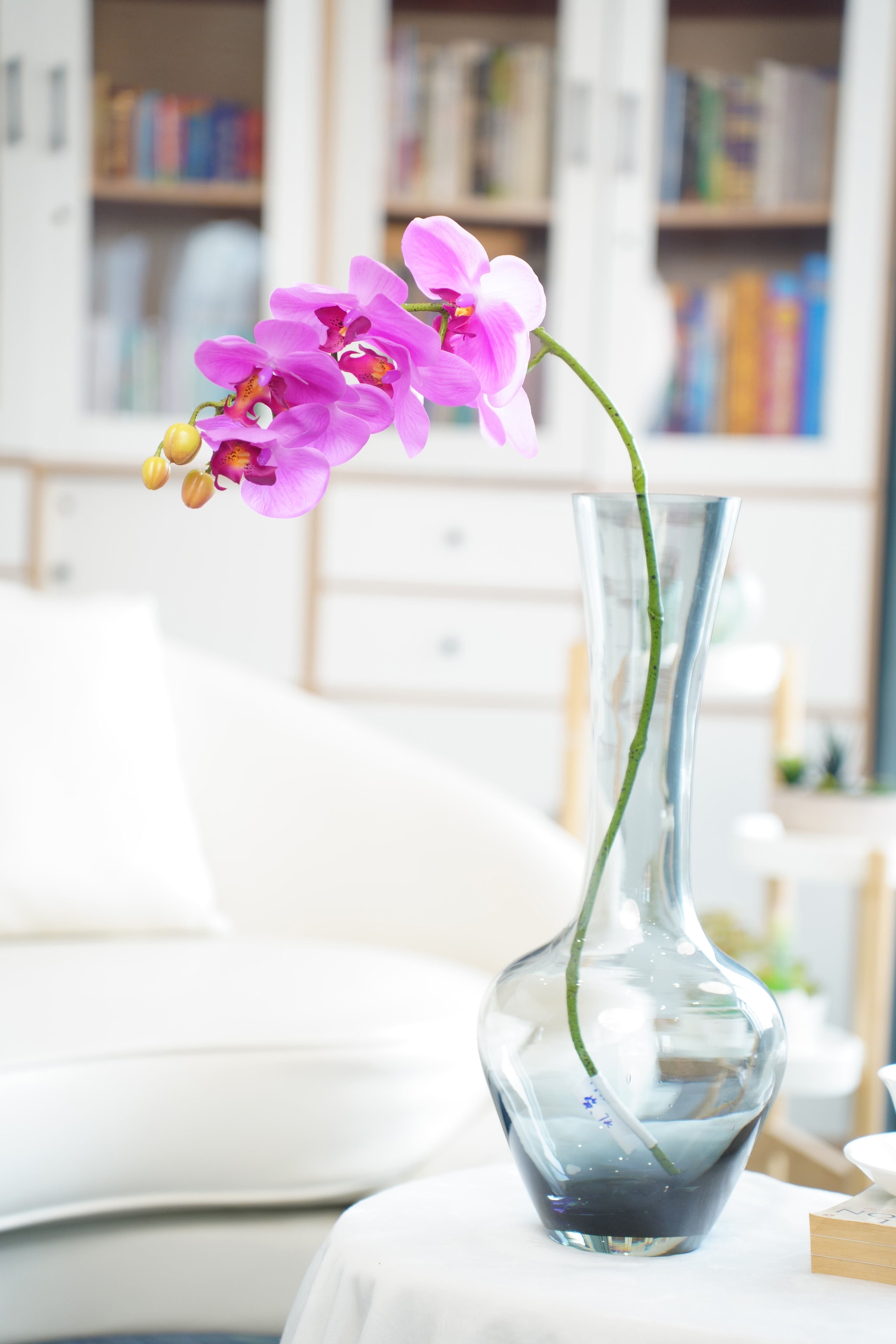 Orchids