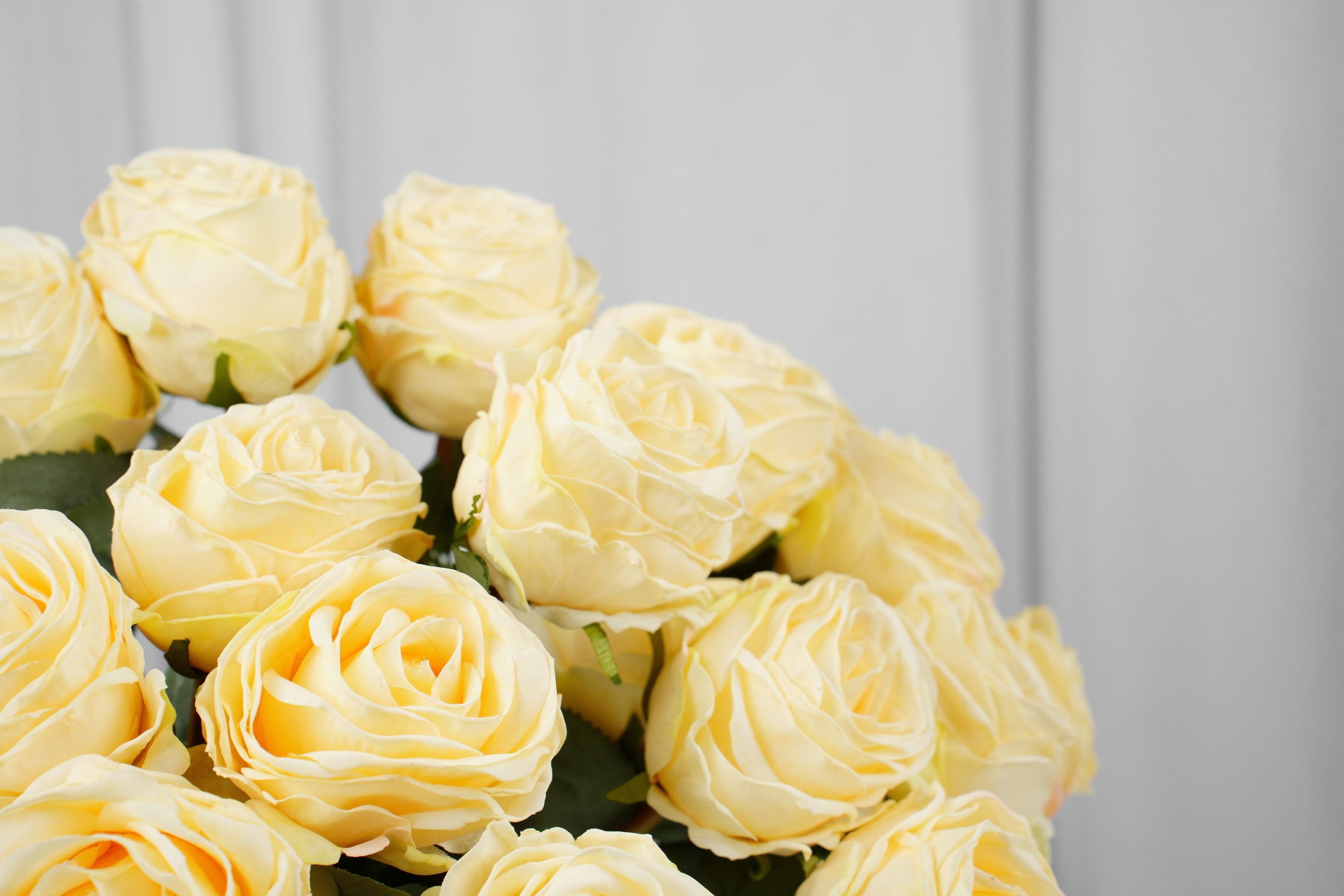 Vintage-Edge Rose Stem, 37 cm