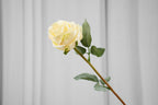 Vintage-Edge Rose Stem, 37 cm