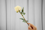 Vintage-Edge Rose Stem, 37 cm
