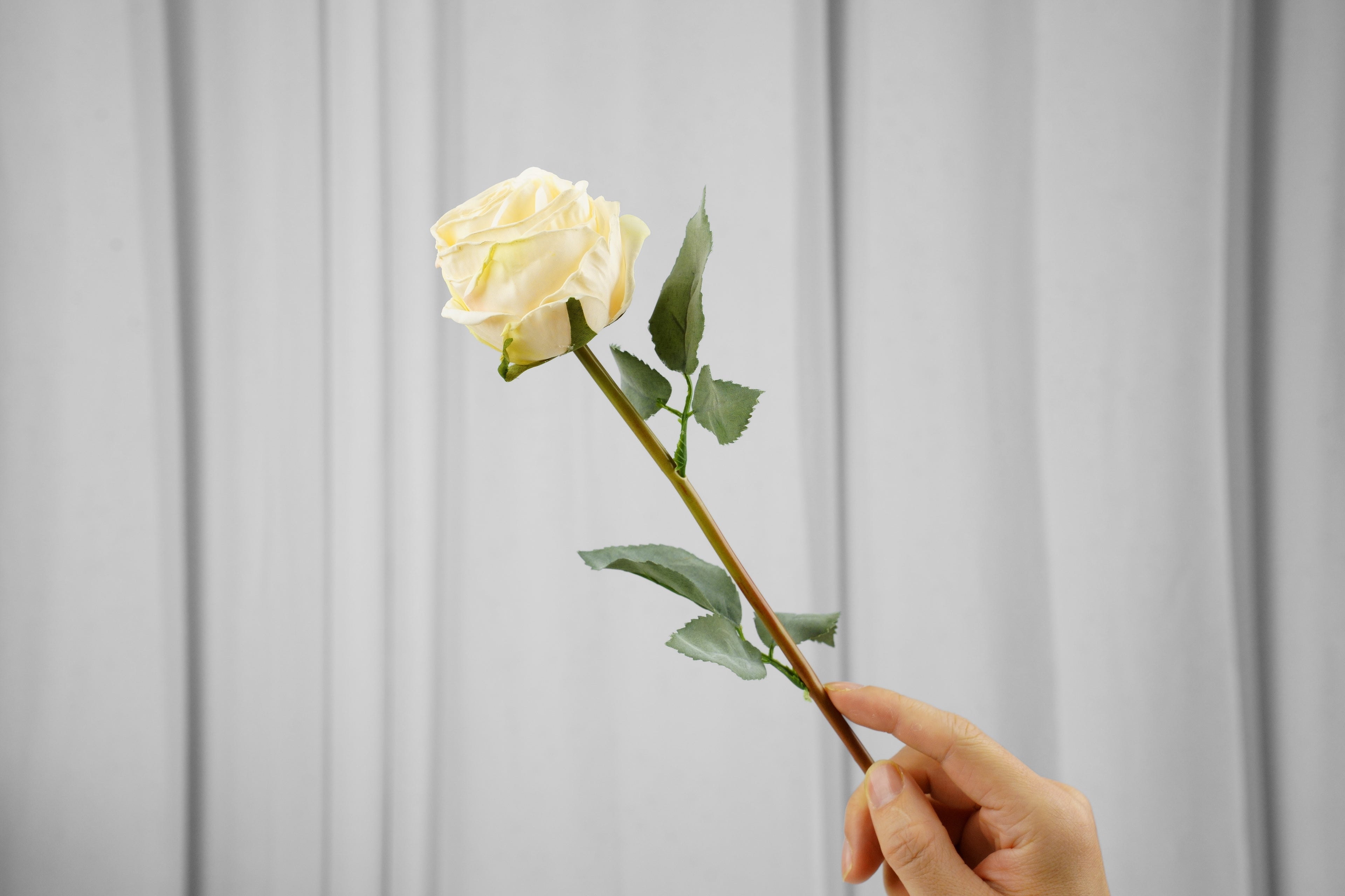 Vintage-Edge Rose Stem, 37 cm