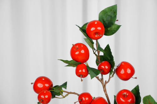 Orchard Apple Branch