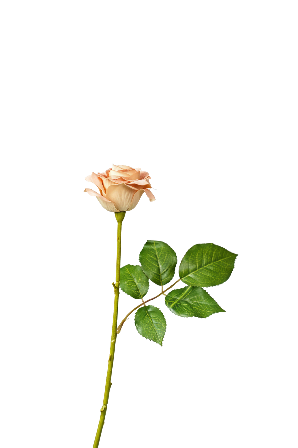 Painterly Rose Stem, 43cm