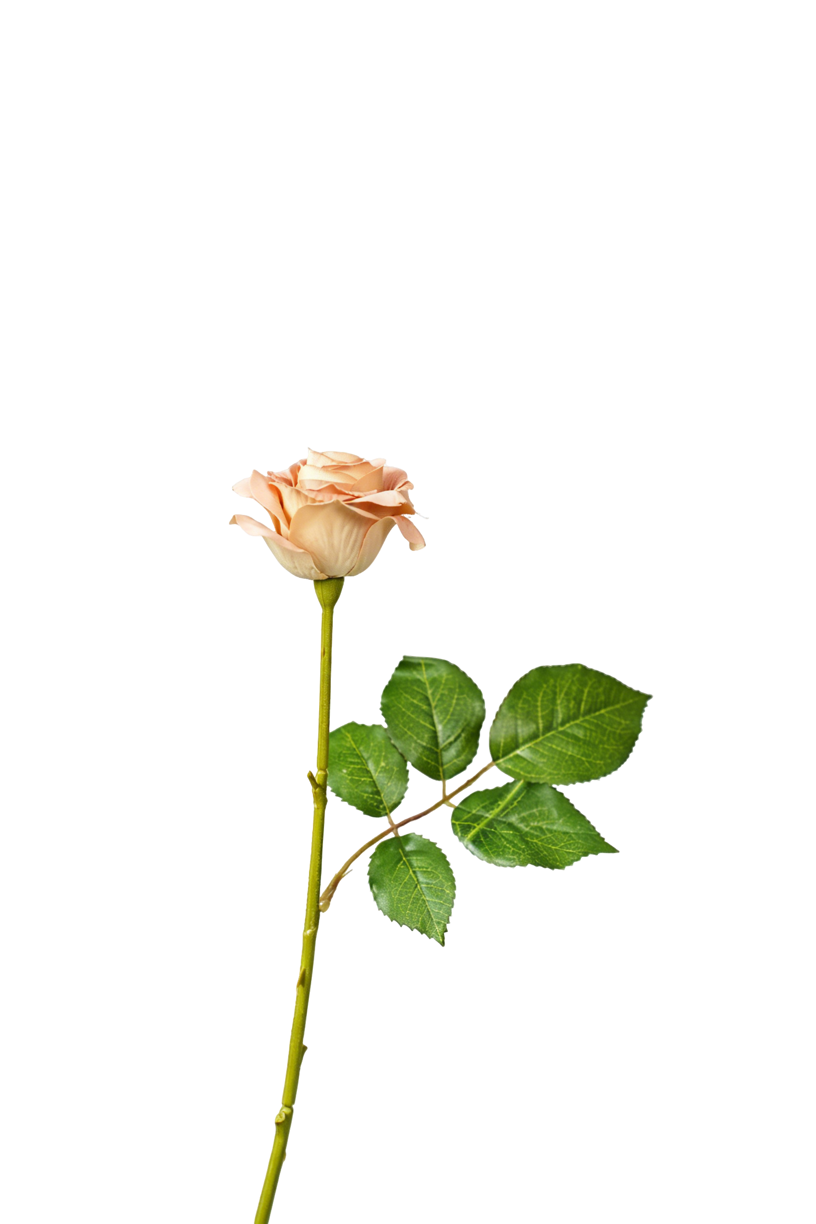 Painterly Rose Stem, 43cm