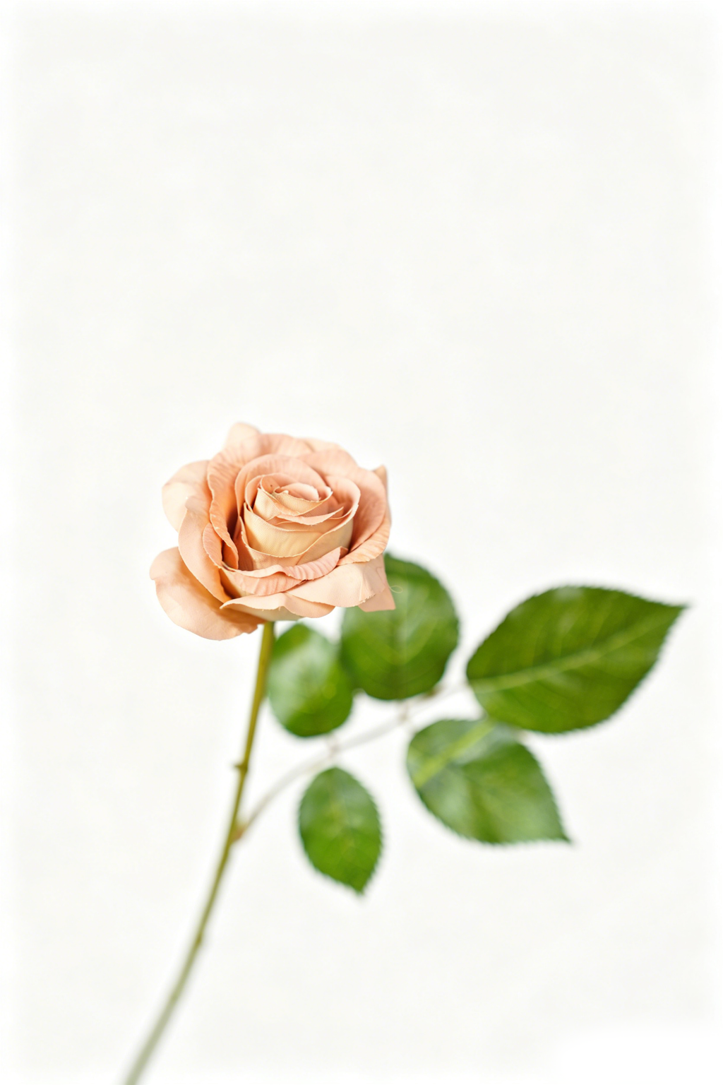 Painterly Rose Stem, 43cm