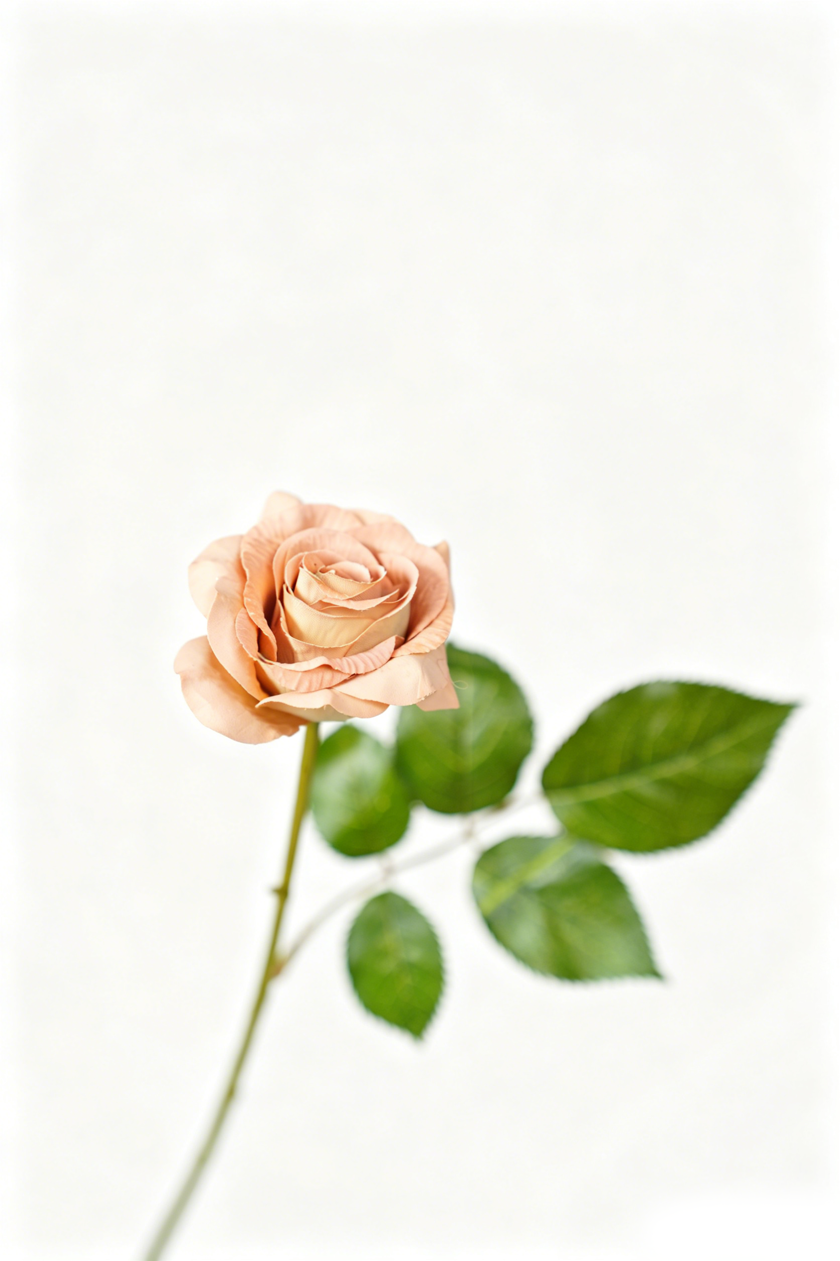 Painterly Rose Stem, 43cm