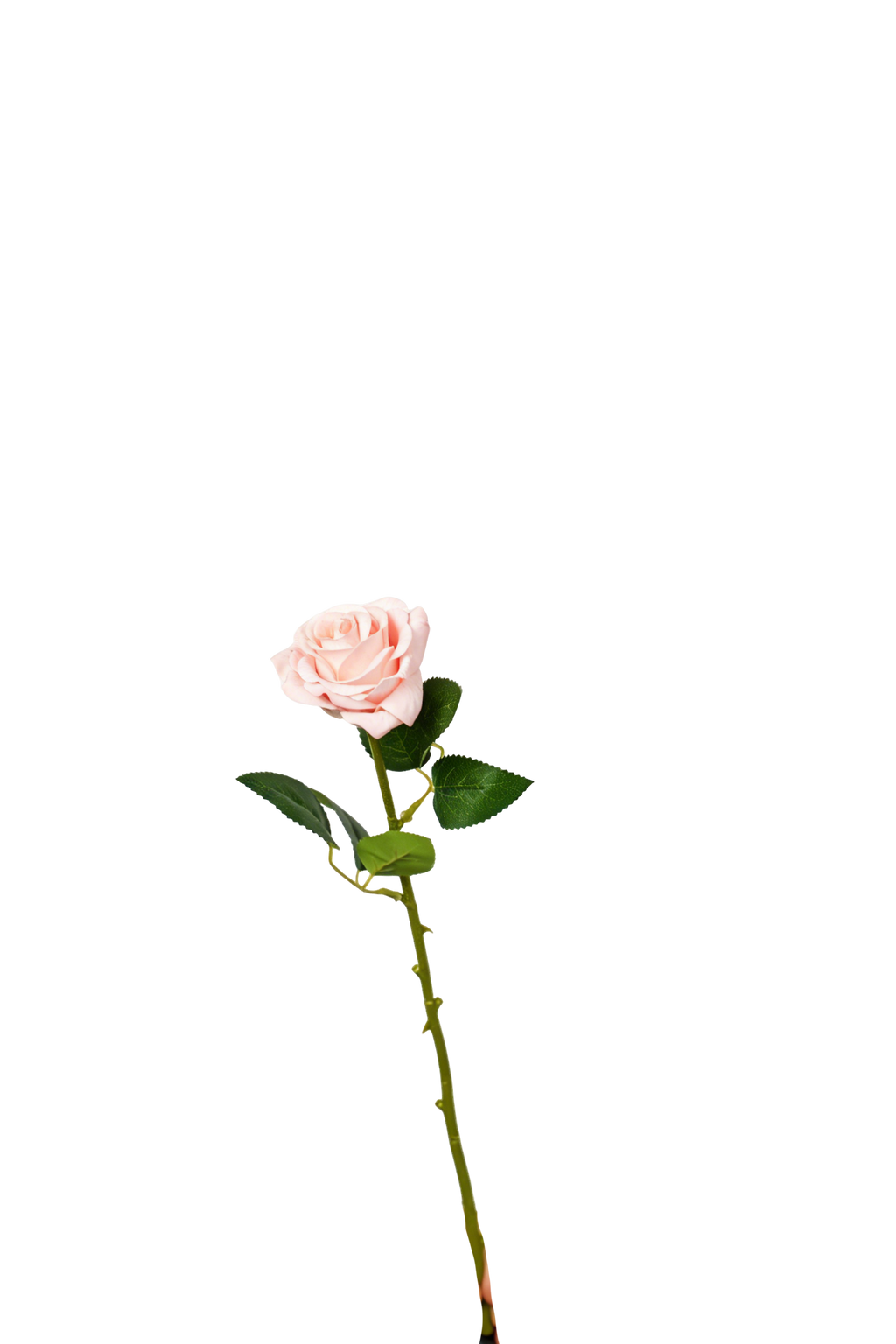Petite Rose Stem, 45 cm