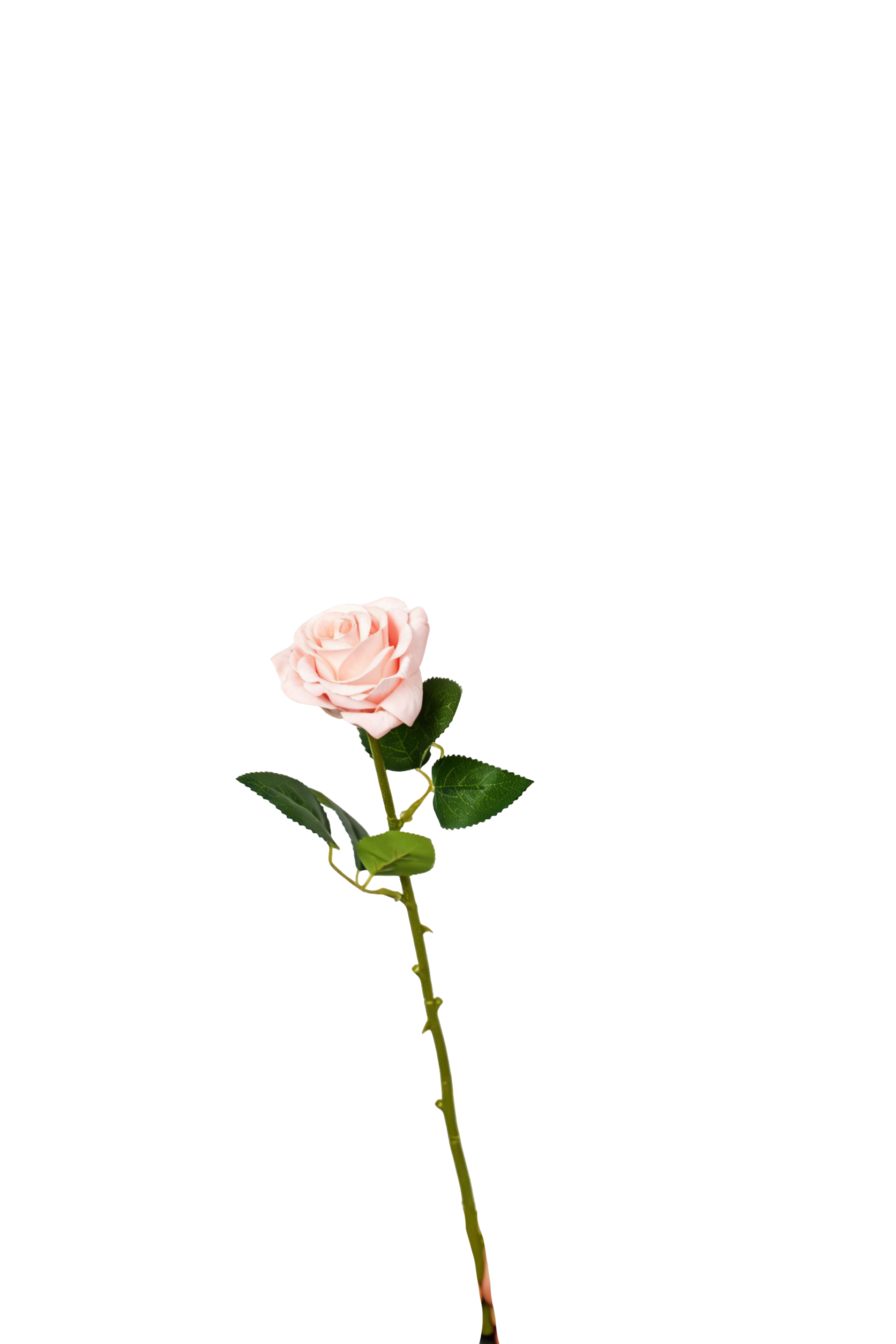 Petite Rose Stem, 45 cm