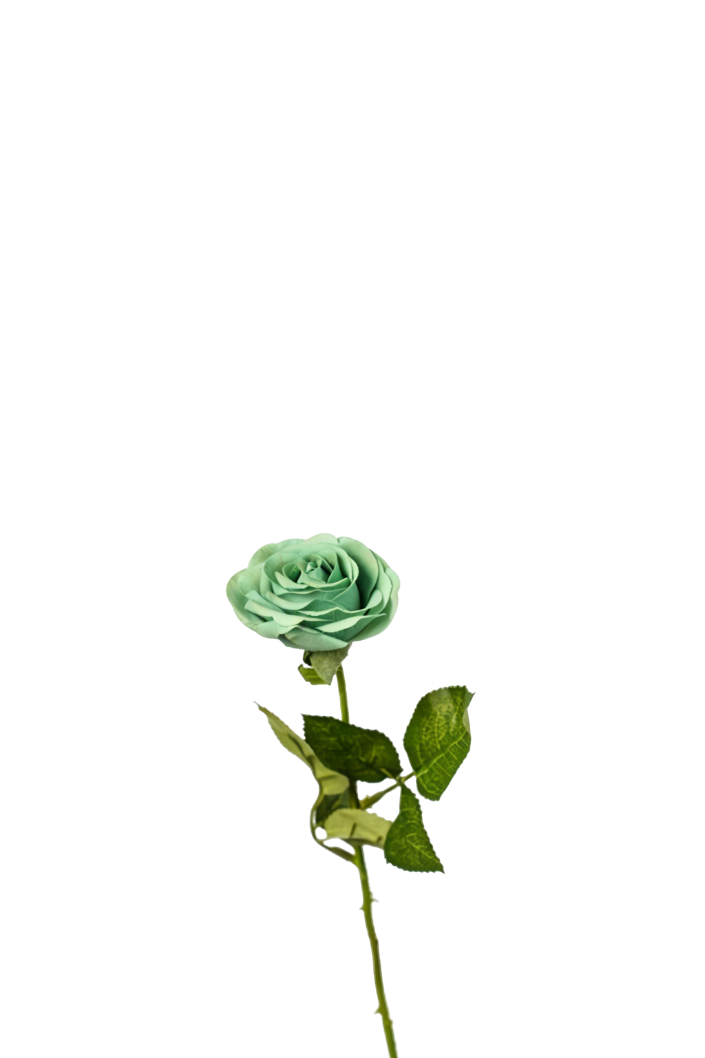 Petite Rose Stem, 45 cm