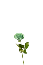 Petite Rose Stem, 45 cm