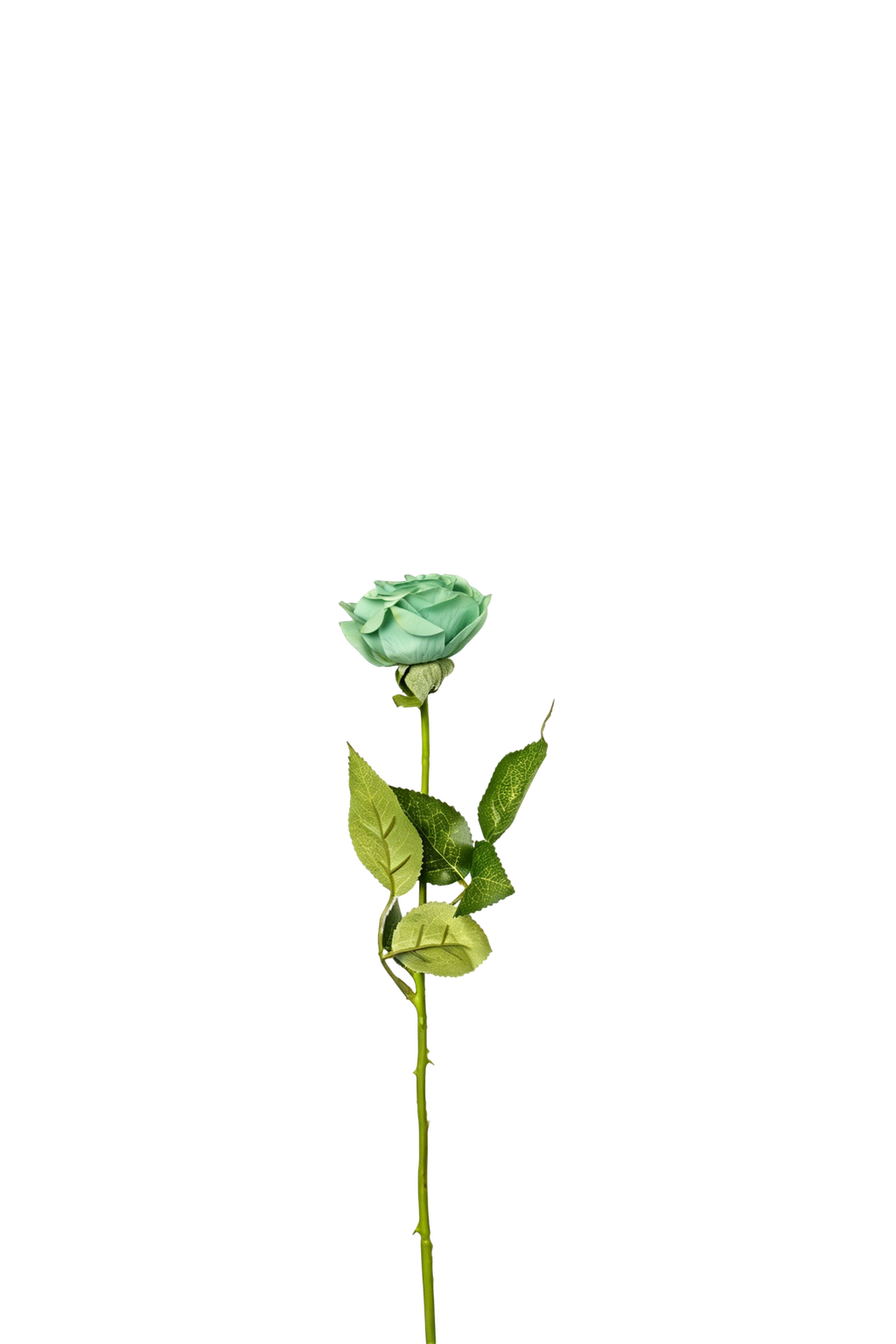 Petite Rose Stem, 45 cm
