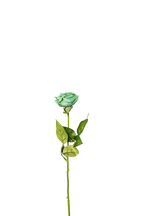 Petite Rose Stem, 45 cm