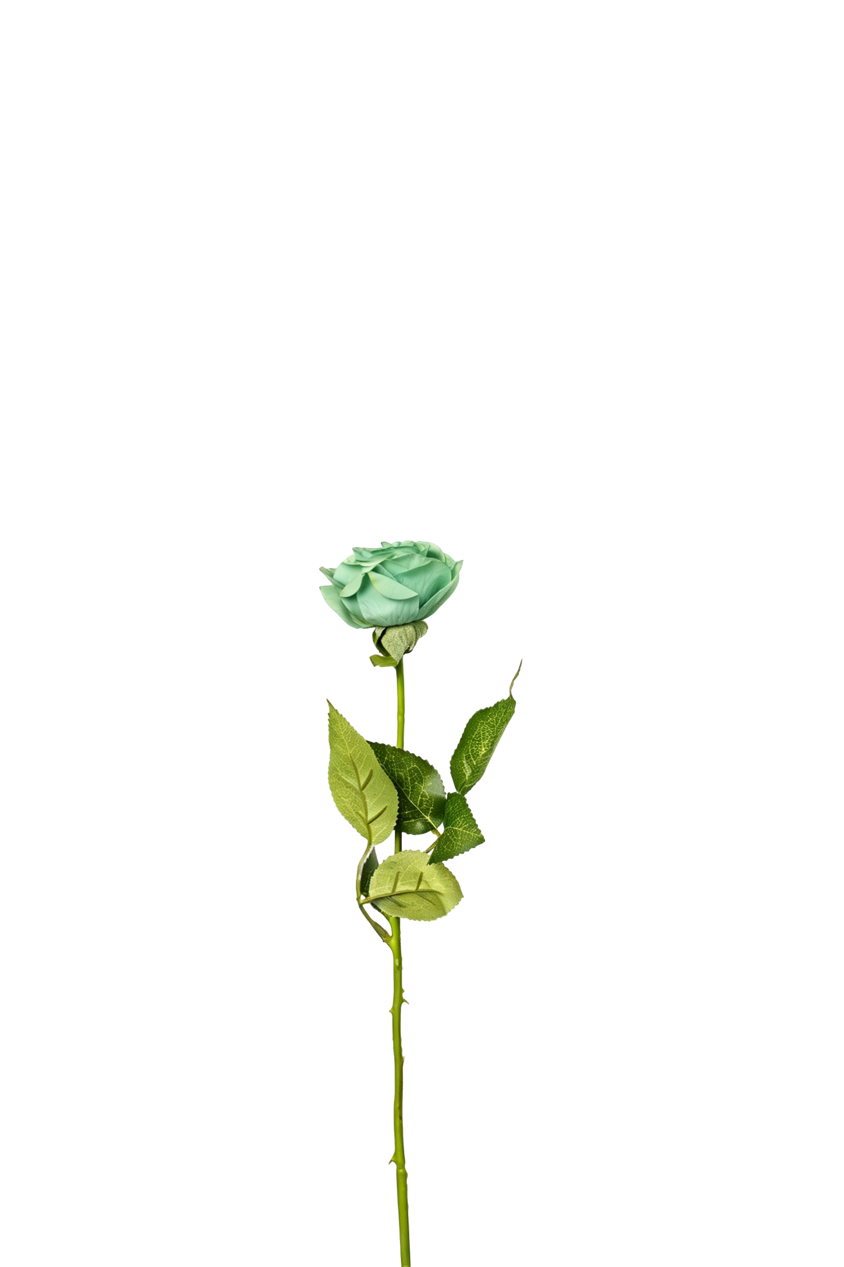 Petite Rose Stem, 45 cm