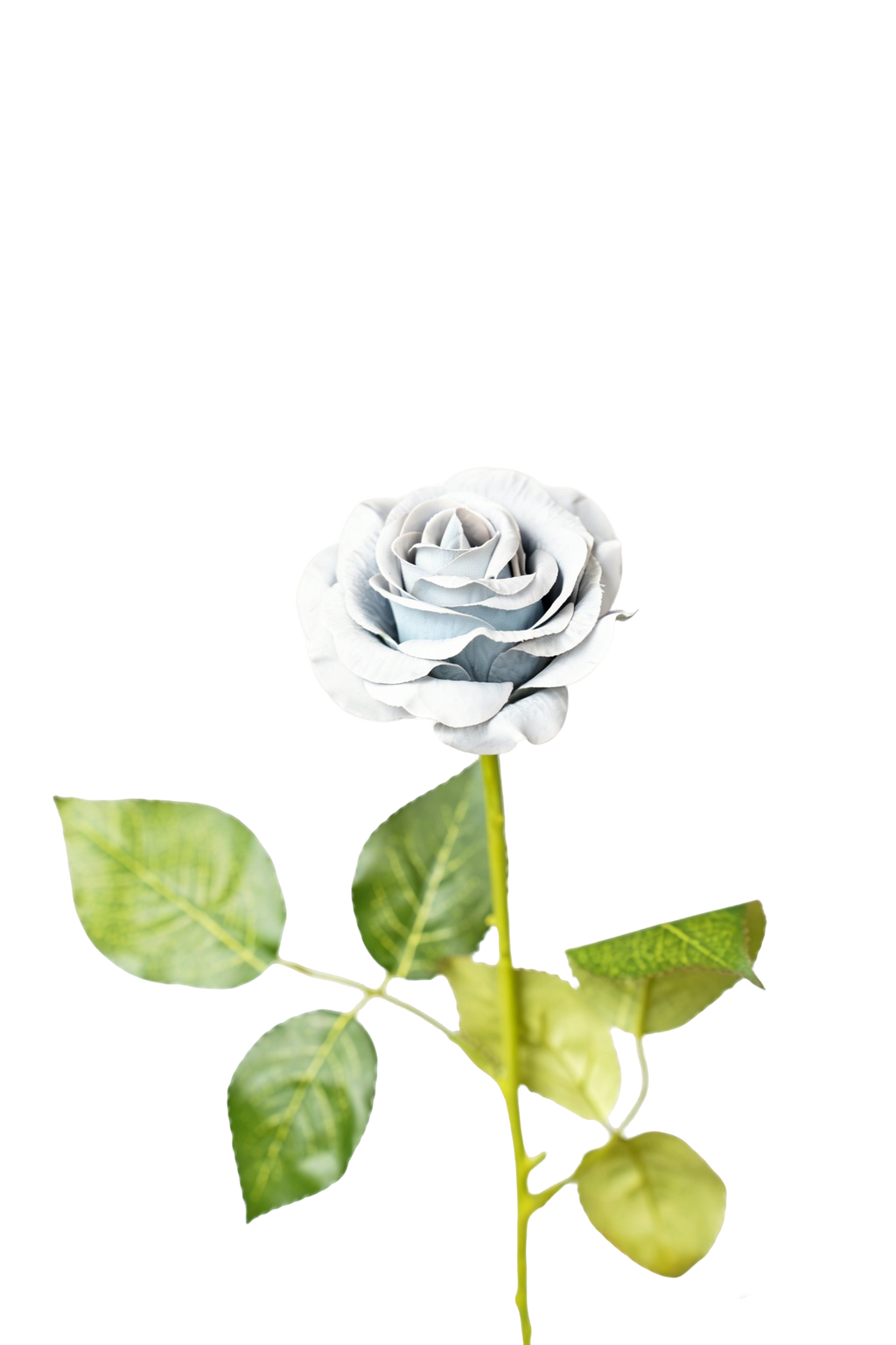 Painterly Rose Stem, 43cm