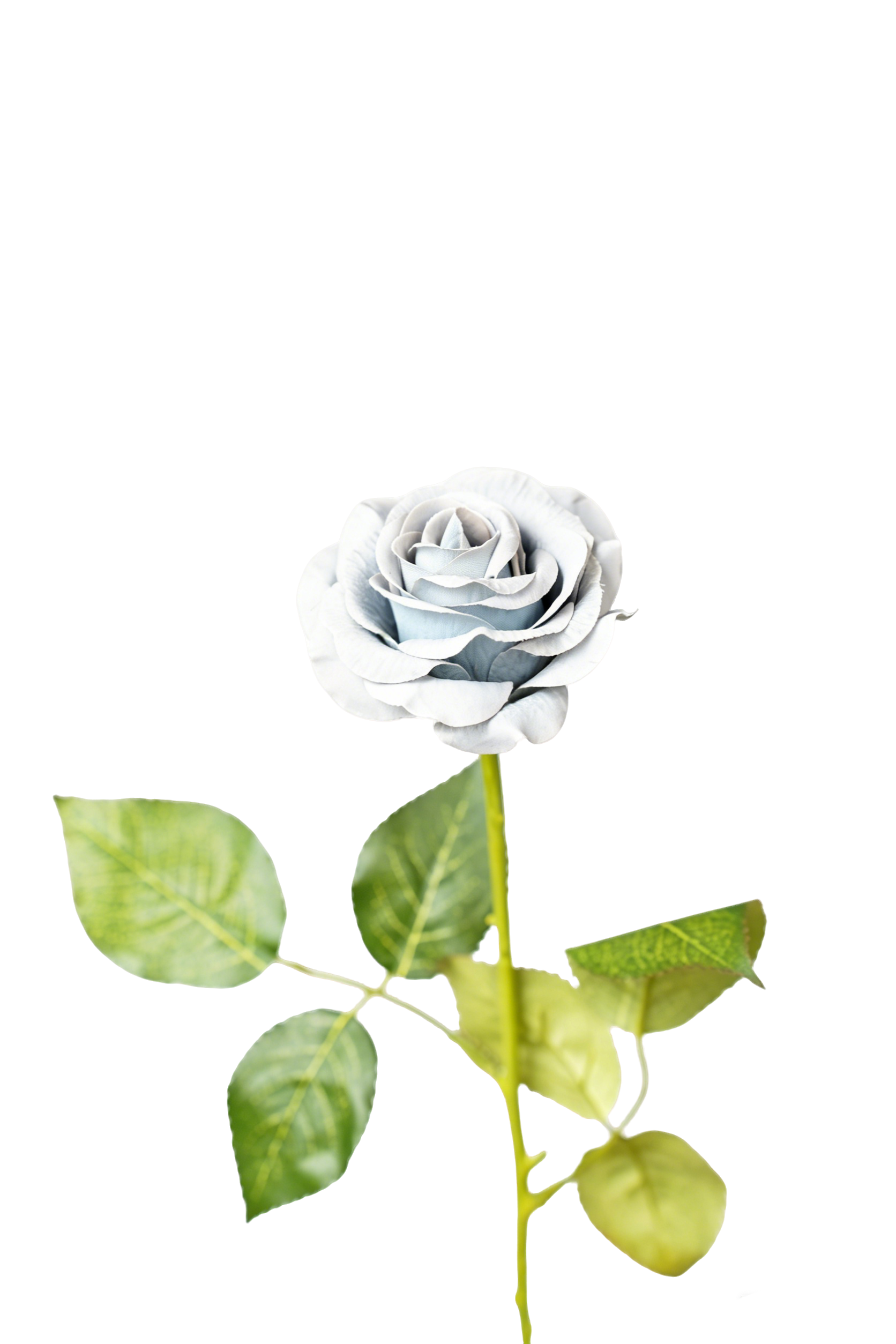 Painterly Rose Stem, 43cm