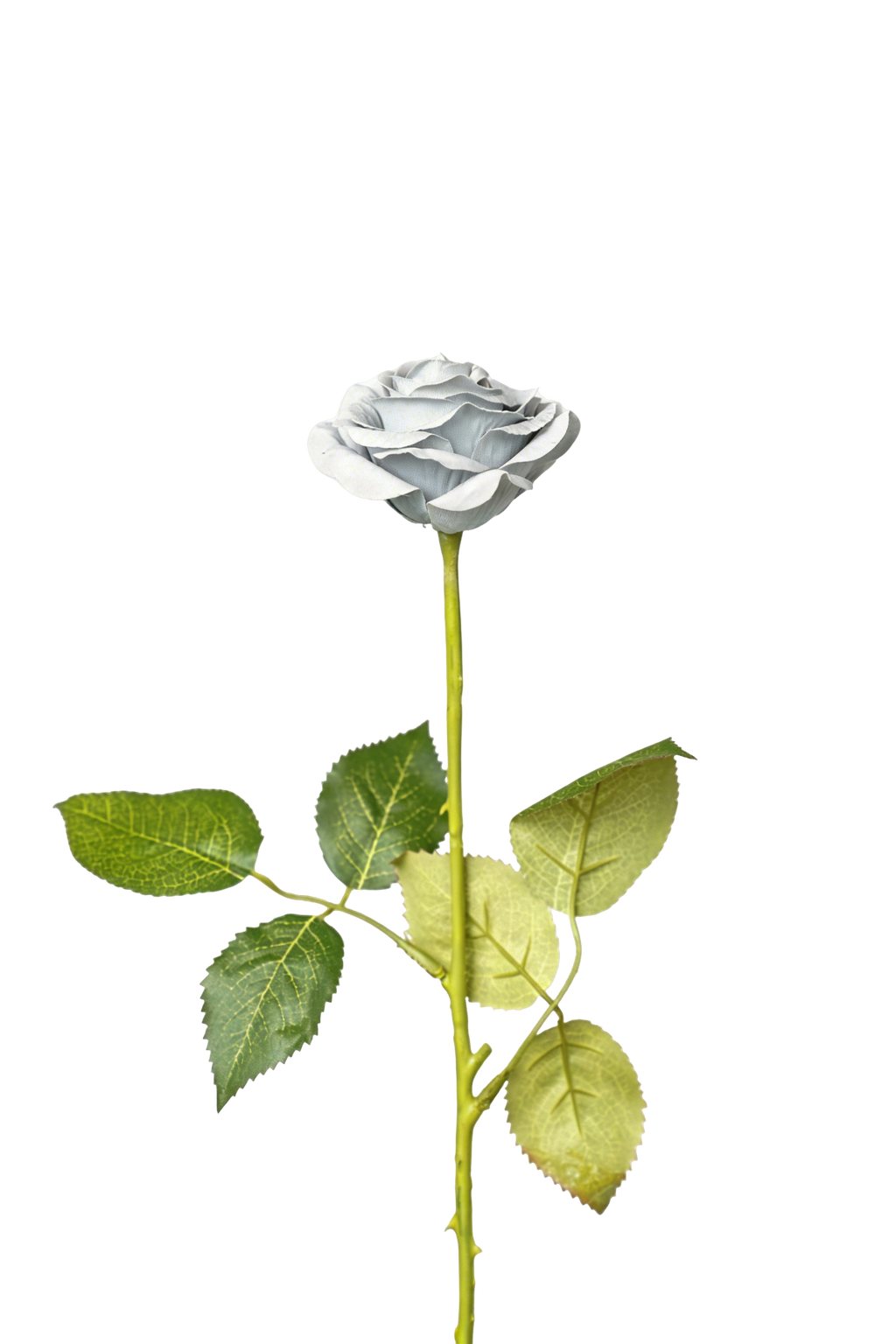 Painterly Rose Stem, 43cm