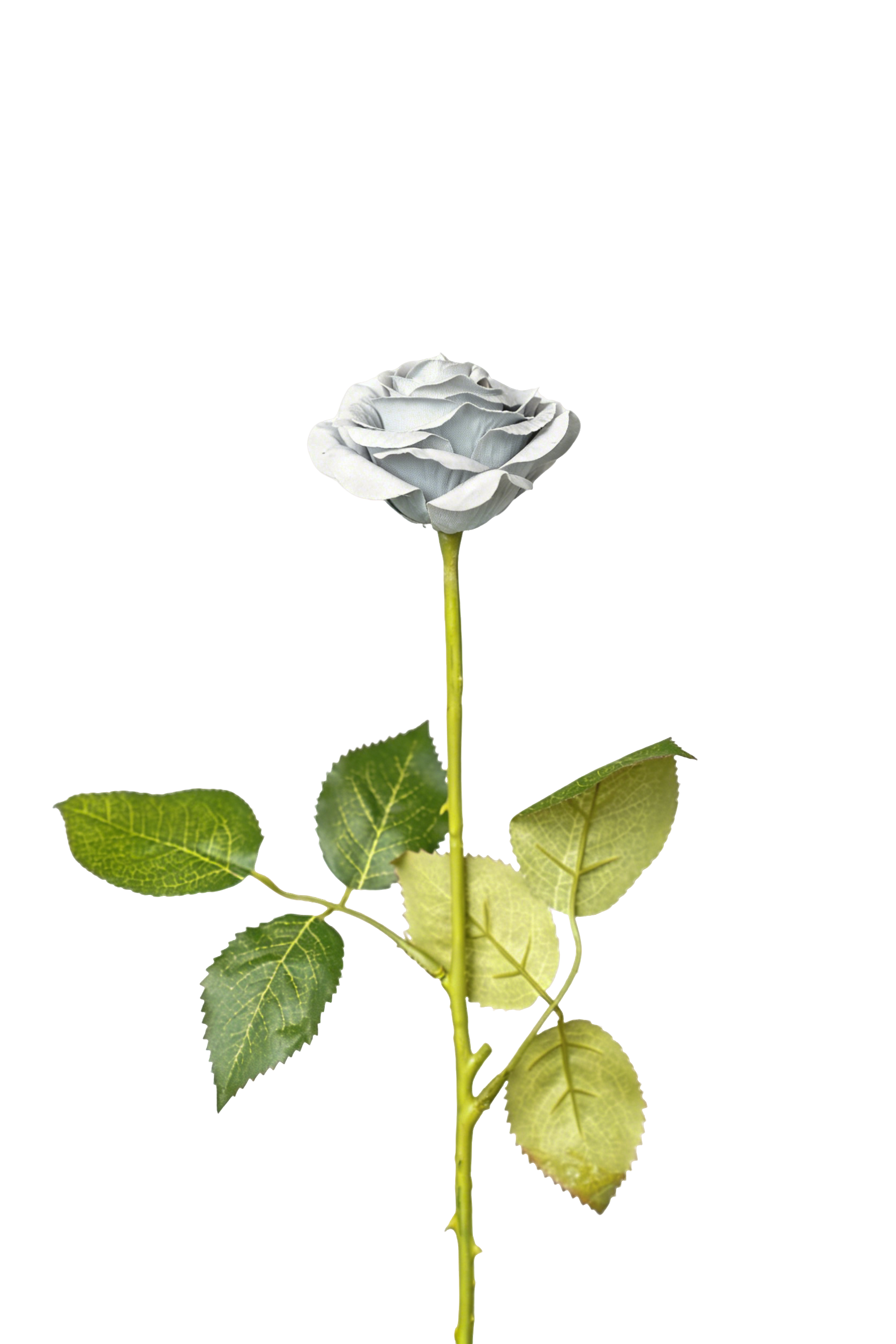Painterly Rose Stem, 43cm