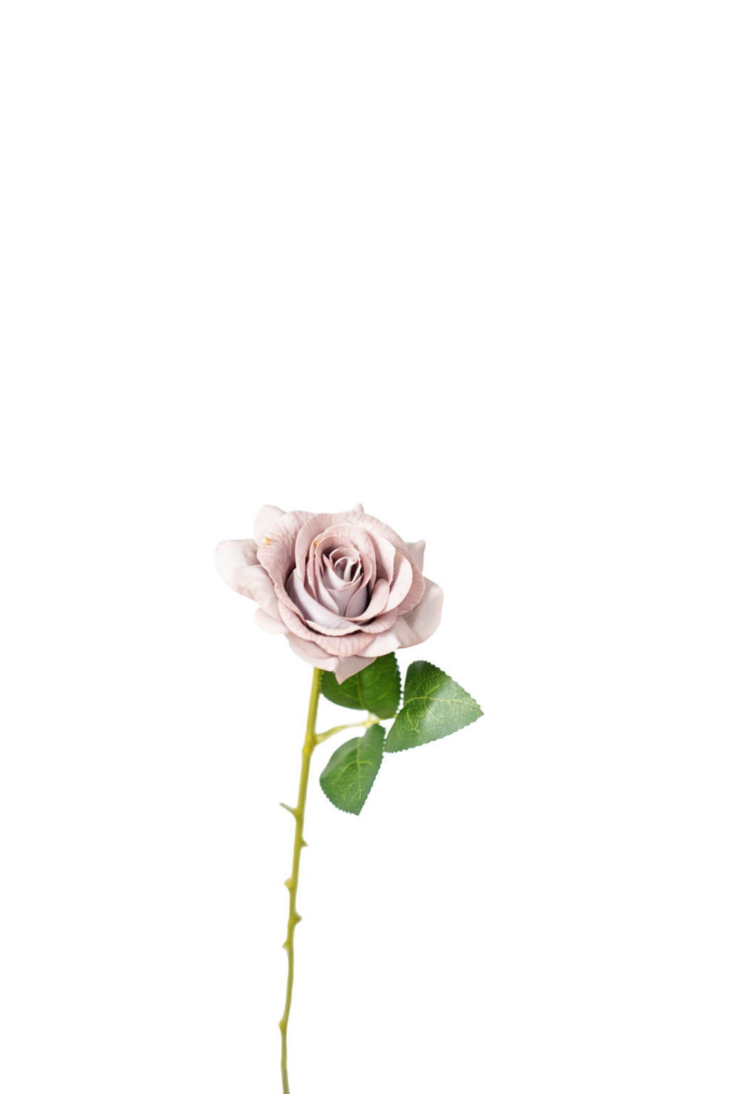 Painterly Rose Stem, 43cm