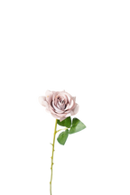 Painterly Rose Stem, 43cm