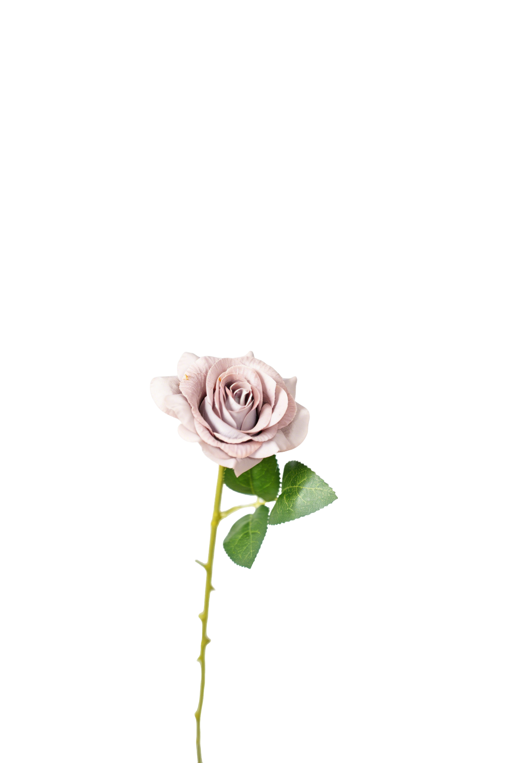 Painterly Rose Stem, 43cm