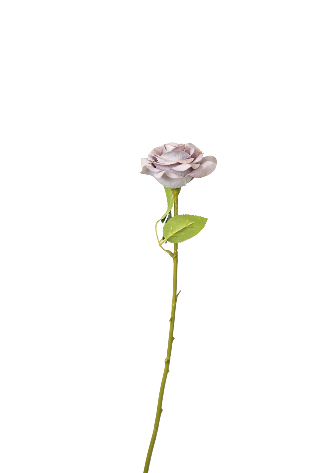 Painterly Rose Stem, 43cm