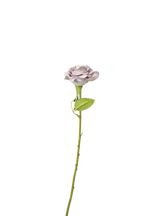 Painterly Rose Stem, 43cm