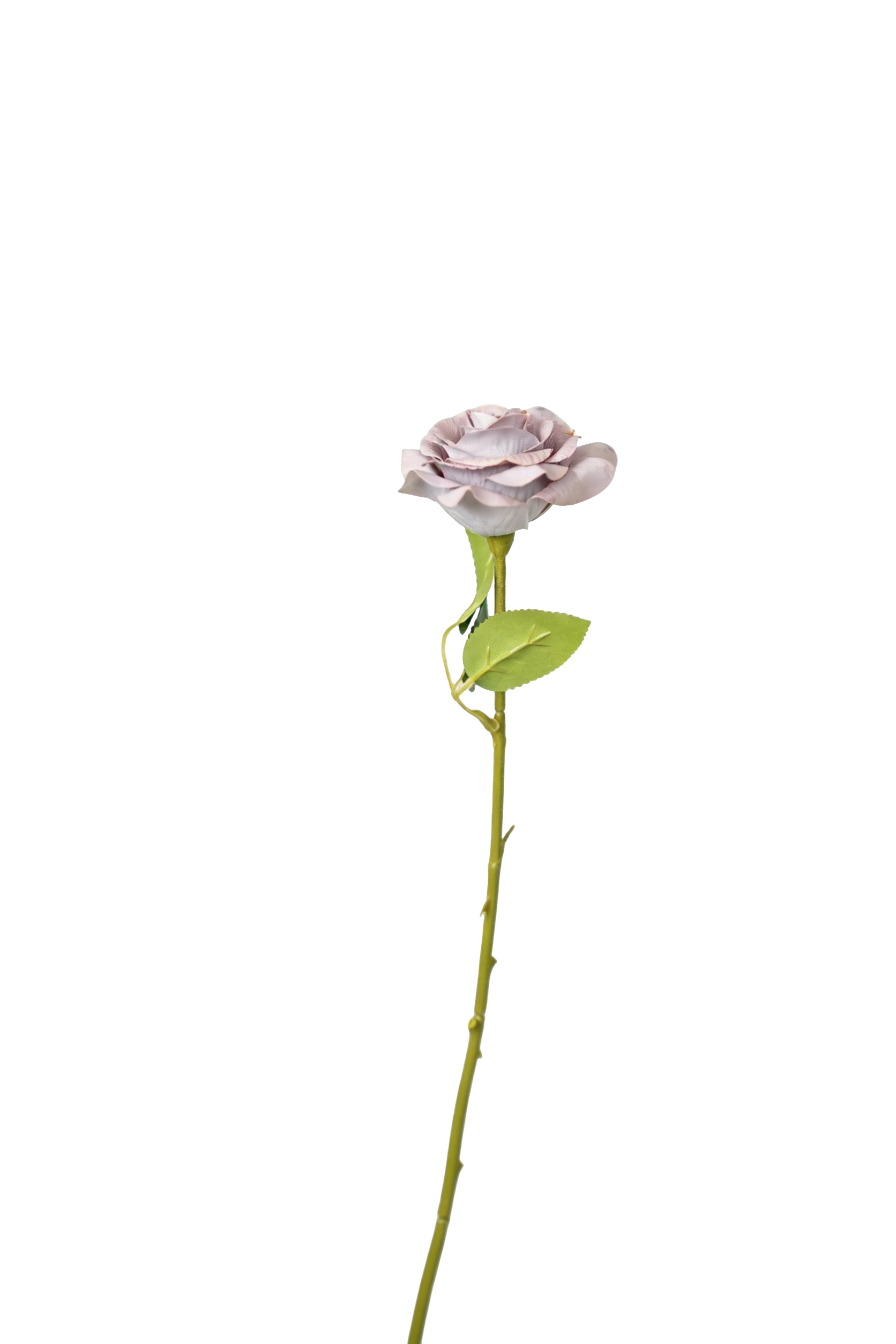 Painterly Rose Stem, 43cm