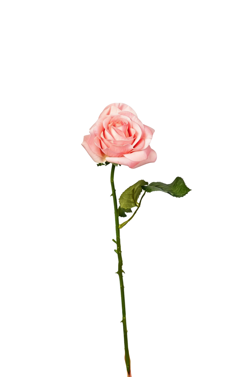 Petite Rose Stem, 45 cm