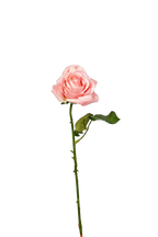 Petite Rose Stem, 45 cm