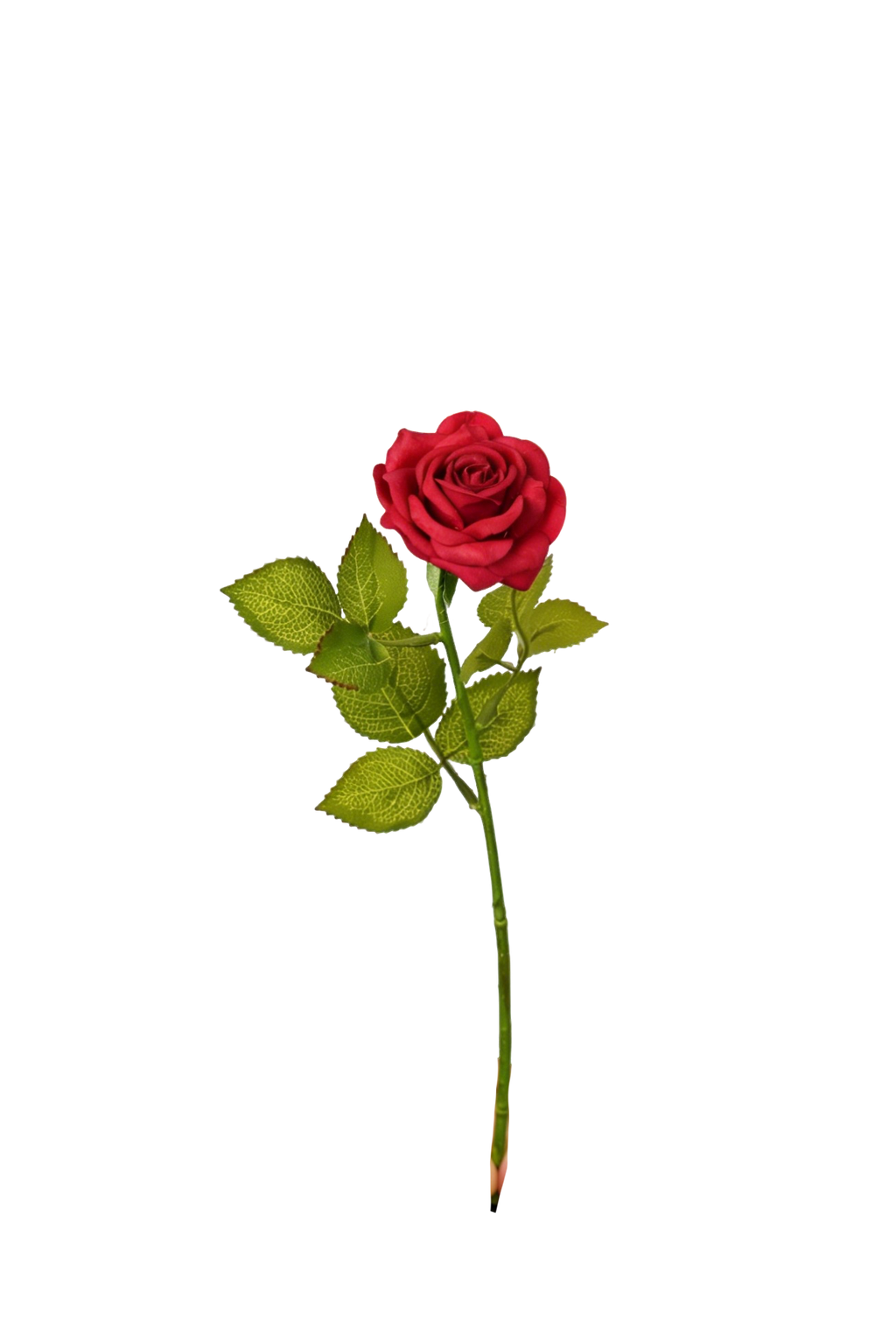 Petite Rose Stem, 45 cm