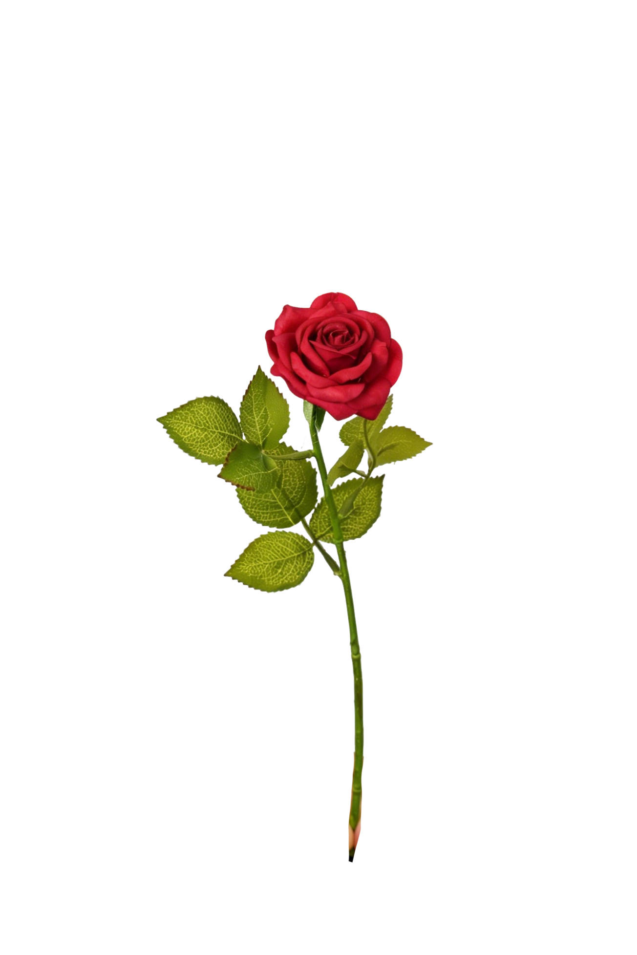 Petite Rose Stem, 45 cm