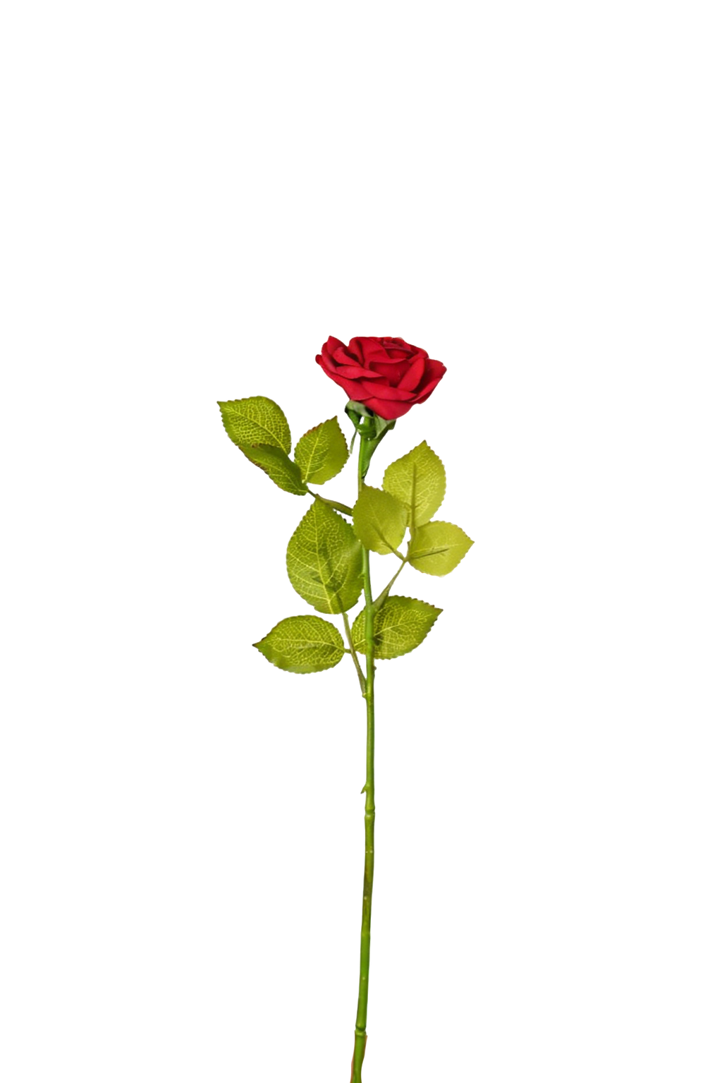 Petite Rose Stem, 45 cm