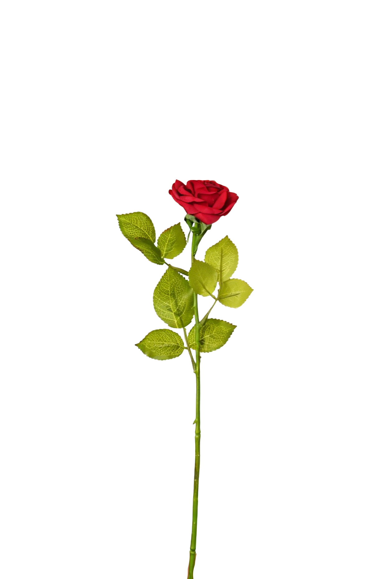 Petite Rose Stem, 45 cm