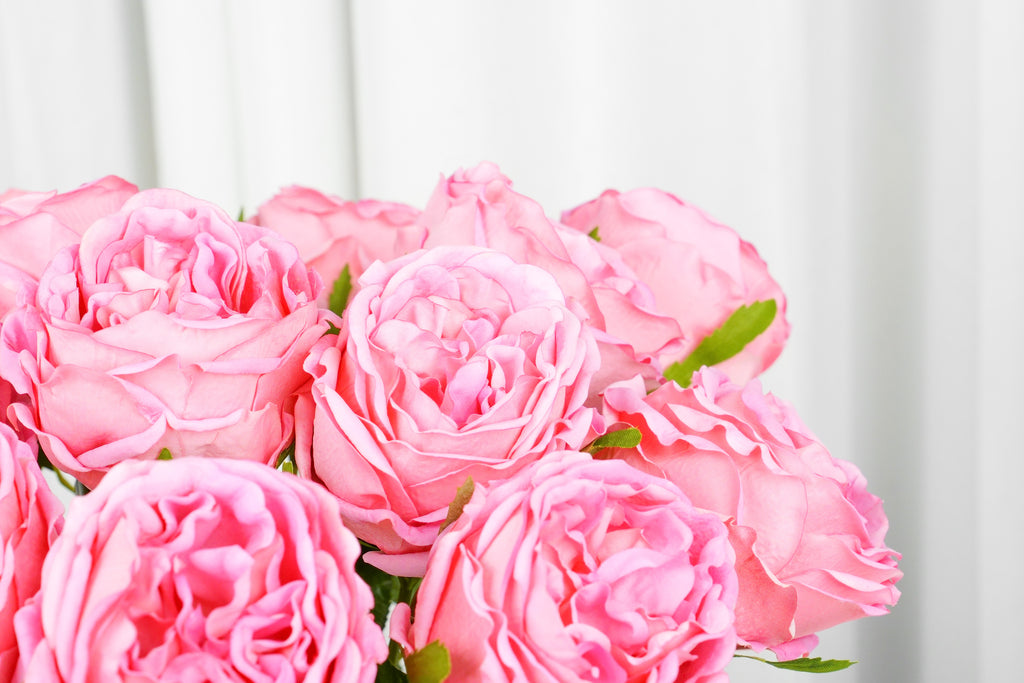Aurelia Austin Rose Stem, 44 cm