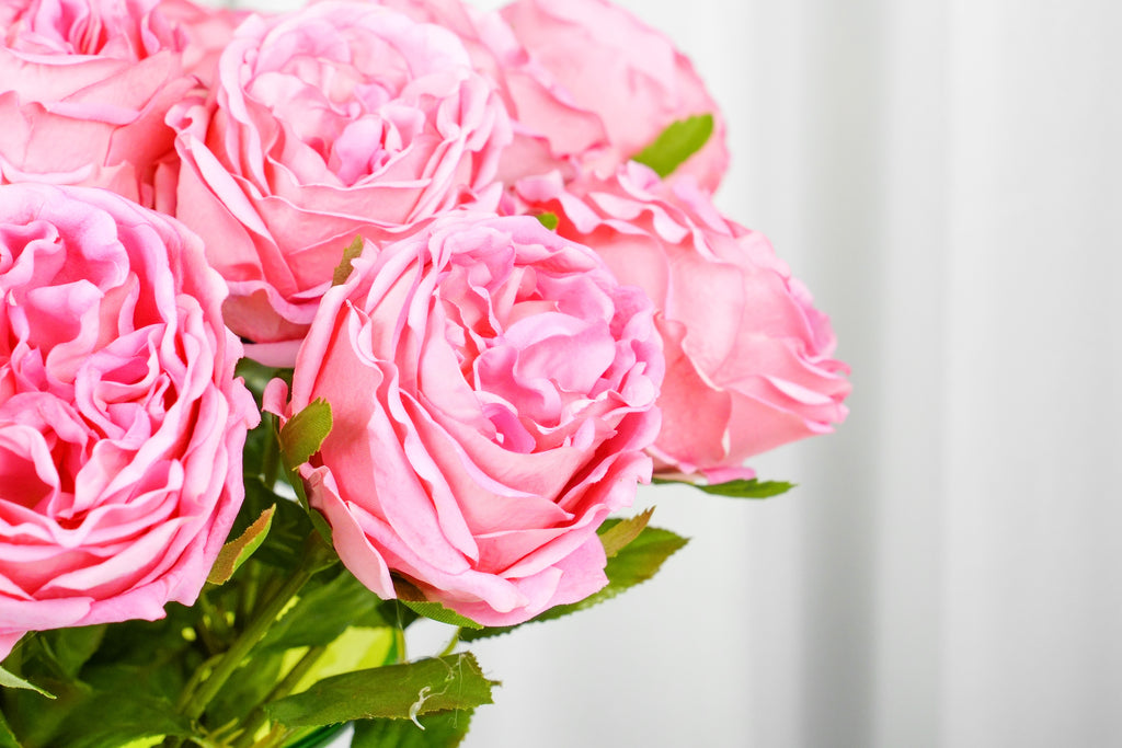 Aurelia Austin Rose Stem, 44 cm