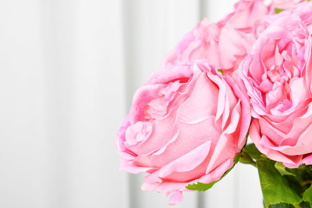 Aurelia Austin Rose Stem, 44 cm