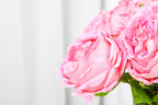 Aurelia Austin Rose Stem, 44 cm