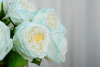 Aurelia Austin Rose Stem, 44 cm