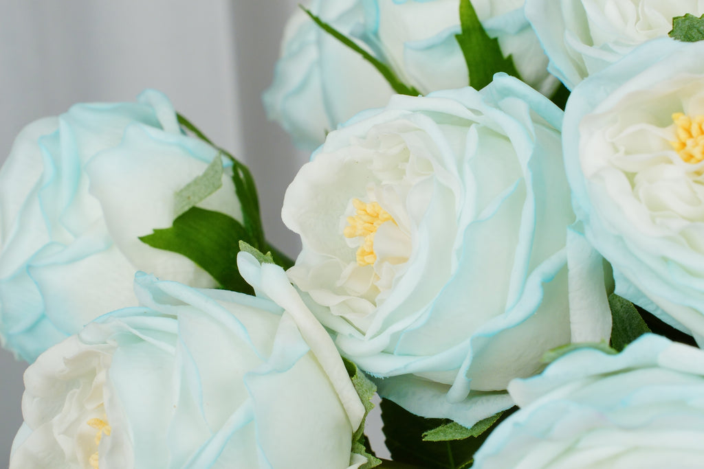 Aurelia Austin Rose Stem, 44 cm