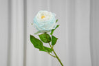 Aurelia Austin Rose Stem, 44 cm