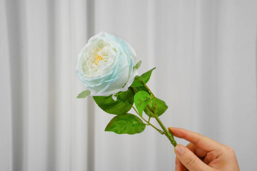 Aurelia Austin Rose Stem, 44 cm