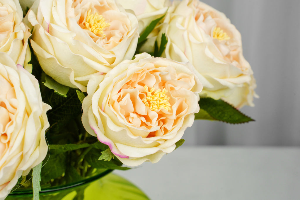 Aurelia Austin Rose Stem, 44 cm