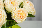 Aurelia Austin Rose Stem, 44 cm