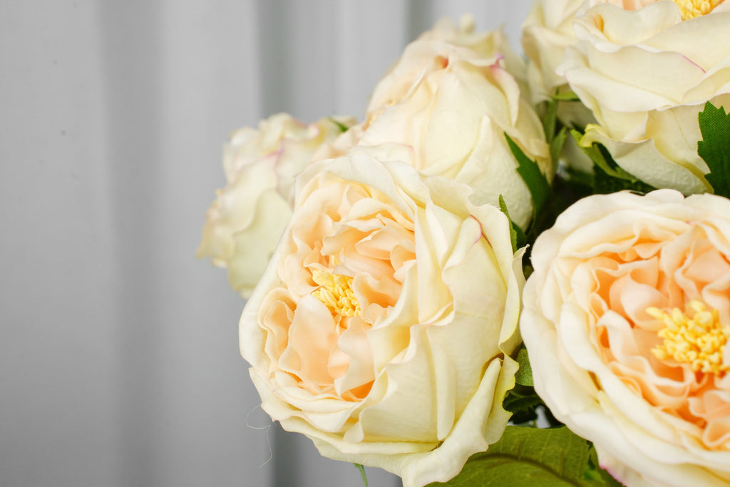 Aurelia Austin Rose Stem, 44 cm