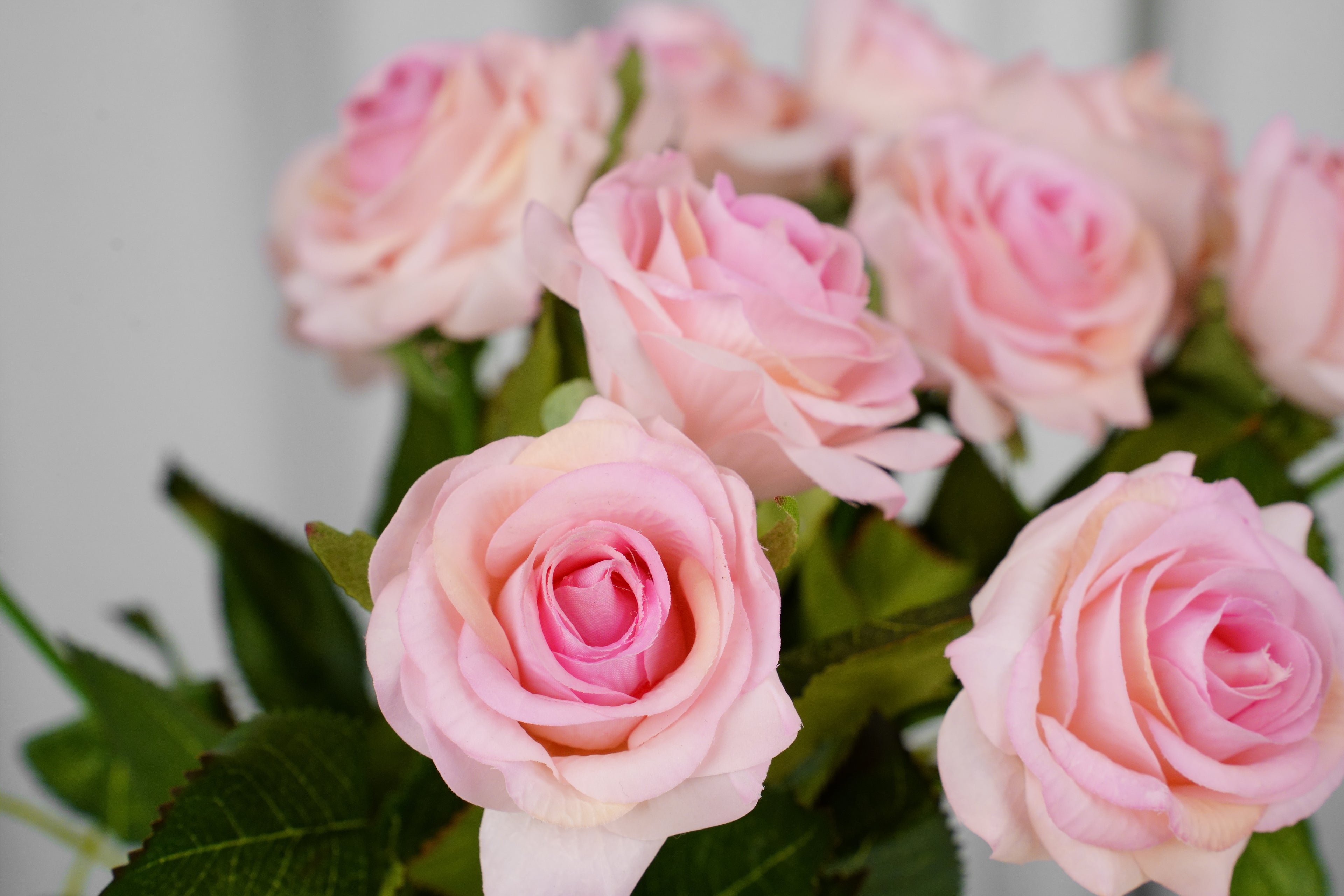 Rosalie Petite Rose Stem, 45 cm