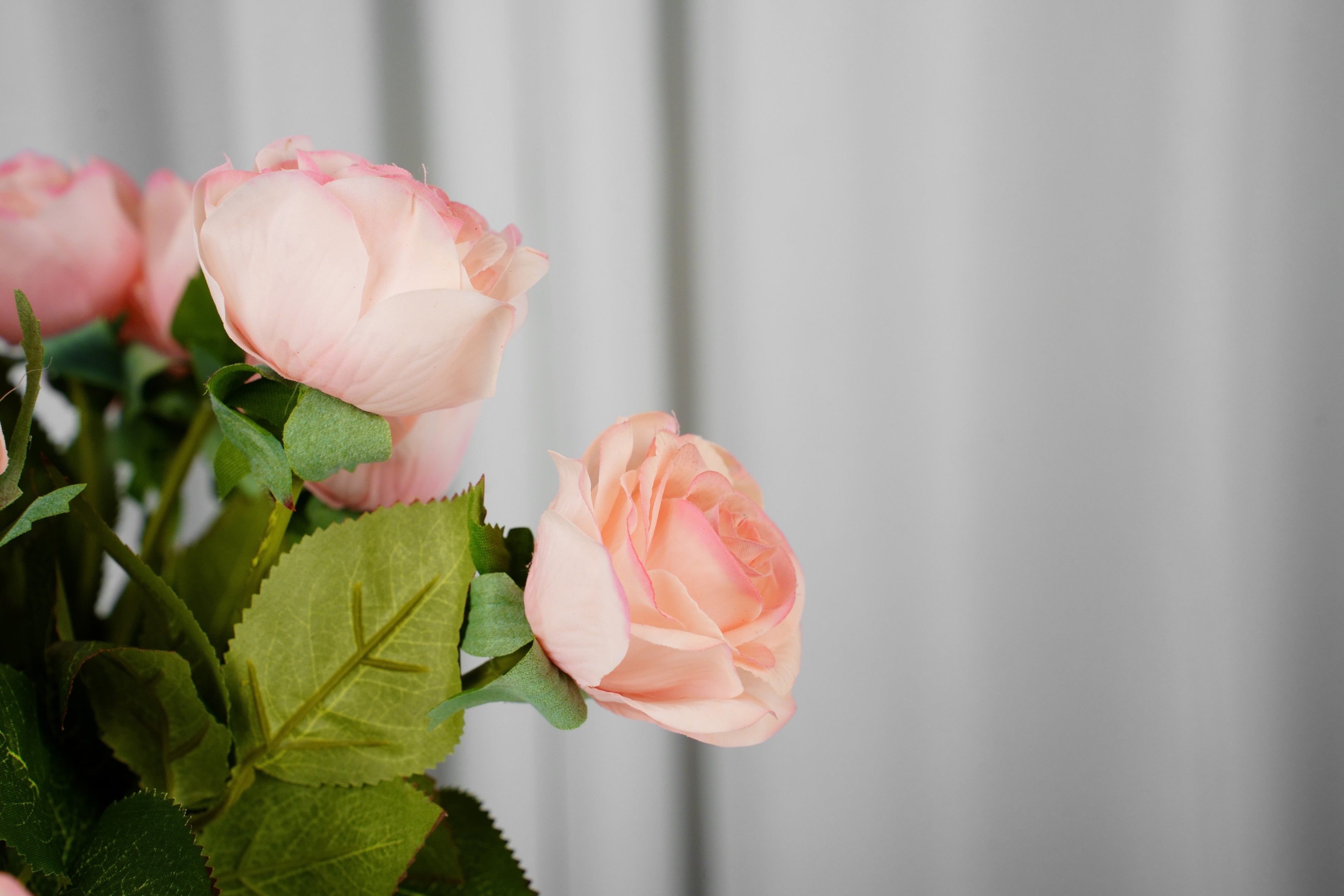 Rosalie Petite Rose Stem, 45 cm