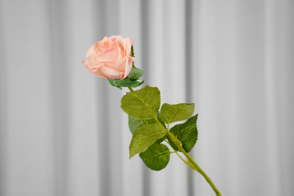 Rosalie Petite Rose Stem, 45 cm
