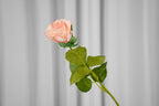 Rosalie Petite Rose Stem, 45 cm