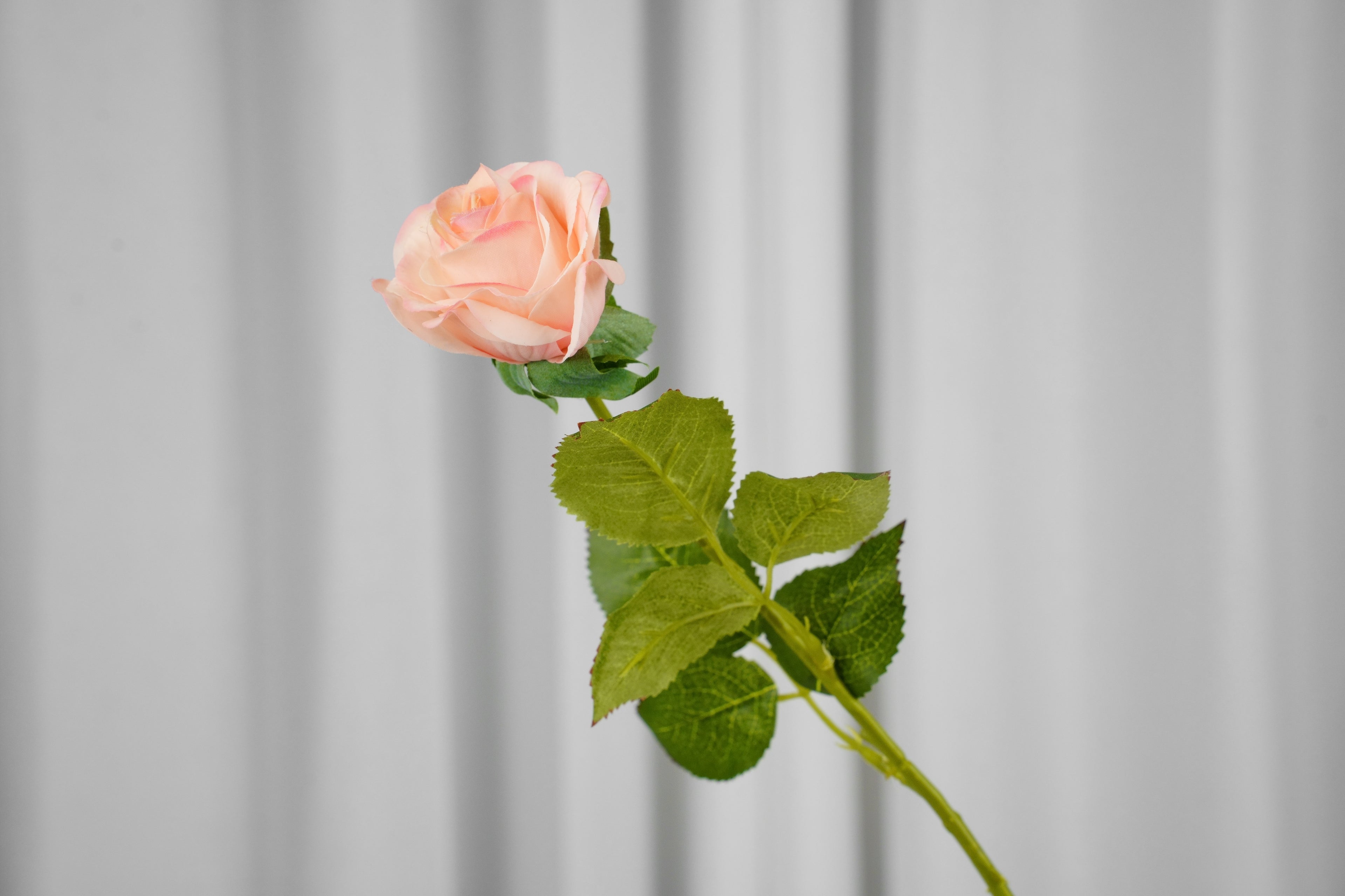 Rosalie Petite Rose Stem, 45 cm