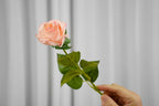 Rosalie Petite Rose Stem, 45 cm